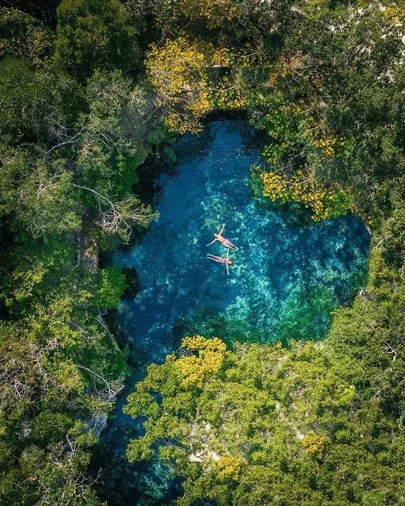 Aerial view of two people swimming in a cenote