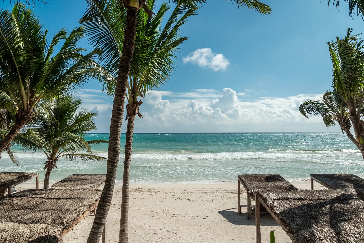 Thatched beach palapas and loungers under coconut palms facing the turquoise Caribbean