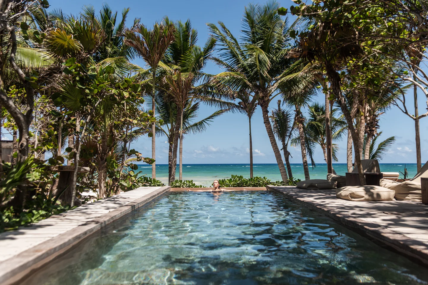 Pool framed by coconut palms with the beach and sea beyond