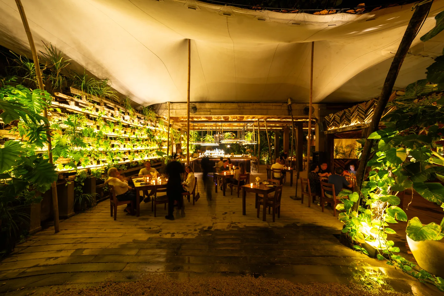 NÜ Tulum terrace at night beneath a canvas canopy, with a lit wall of plants