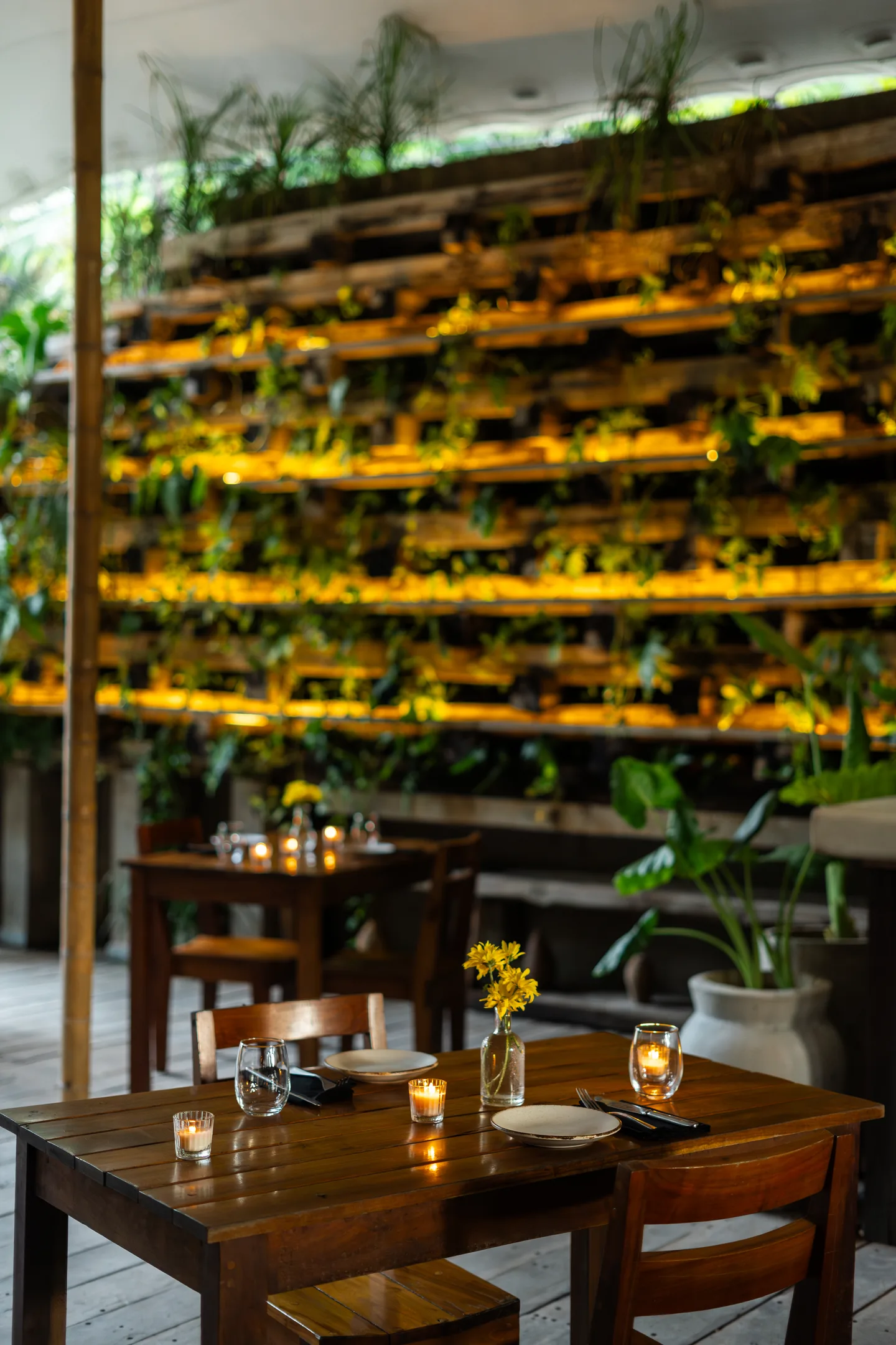 Table for four in front of the illuminated living wall of plants at NÜ Tulum